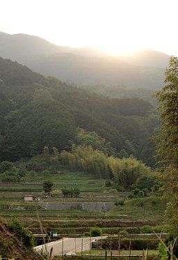 寺口の棚田