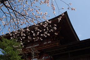 吉野水分神社