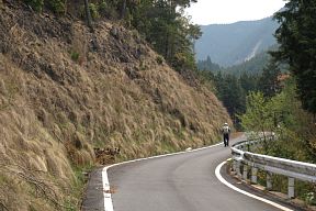 吉野大峰林道