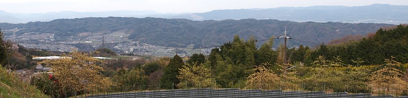 矢田丘陵