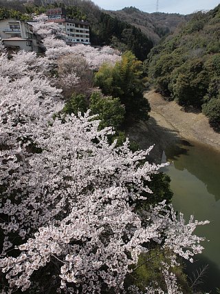 大門池