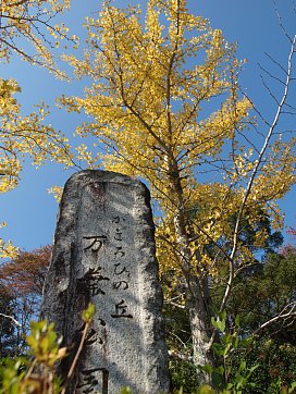 かぎろひの丘万葉公園