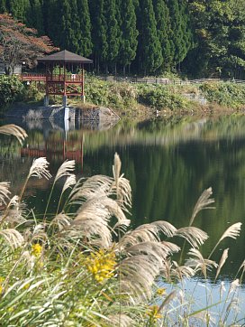 本郷溜池