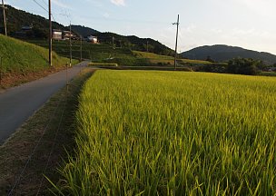 野間大原