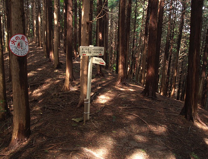 青貝山分岐