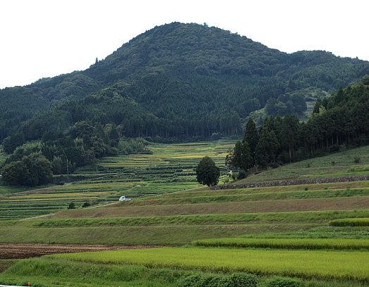 三草山