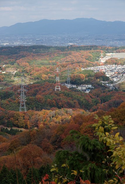 京都盆地南部