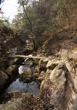 くろんど園地の道