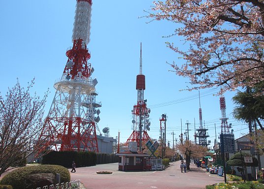 電波塔銀座