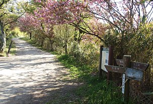 近畿自然歩道