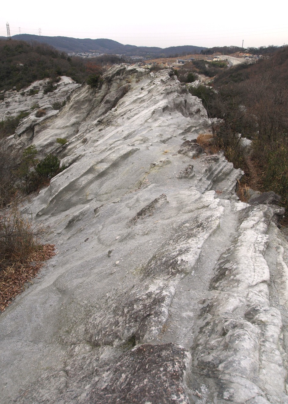 屯鶴峯