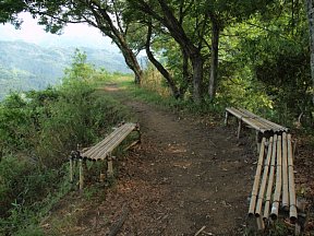 近つ飛鳥の道