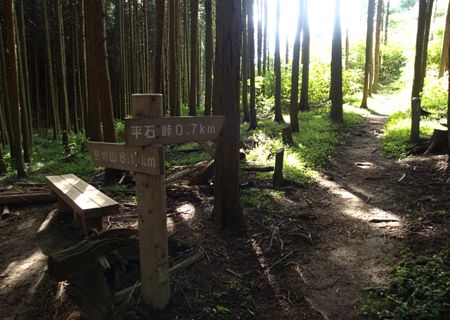 登山道