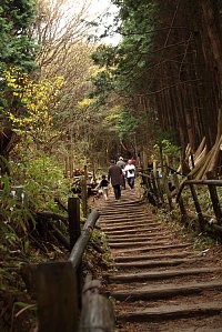 金剛山登山道