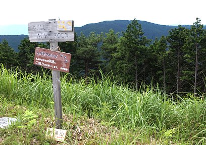 南葛城山