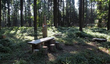 南葛城山山頂