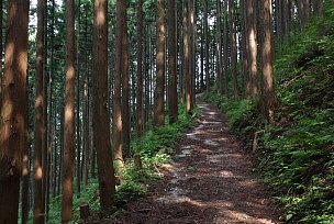 三国山登山道