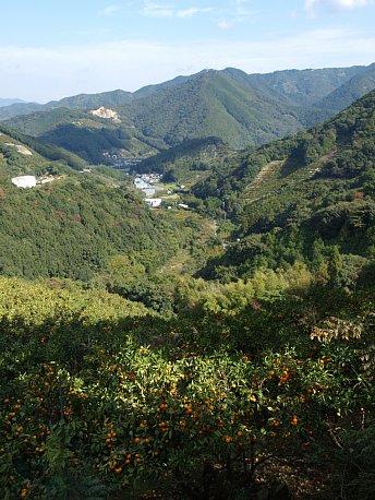 北方の展望