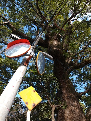 糸我稲荷神社