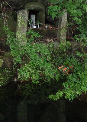 野中の清水