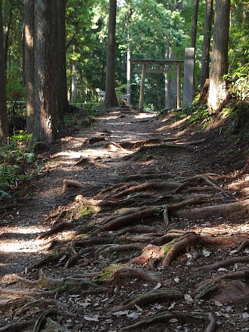 中辺路・発心門王子