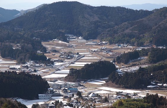 天野