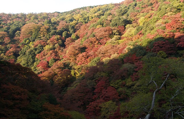 山肌