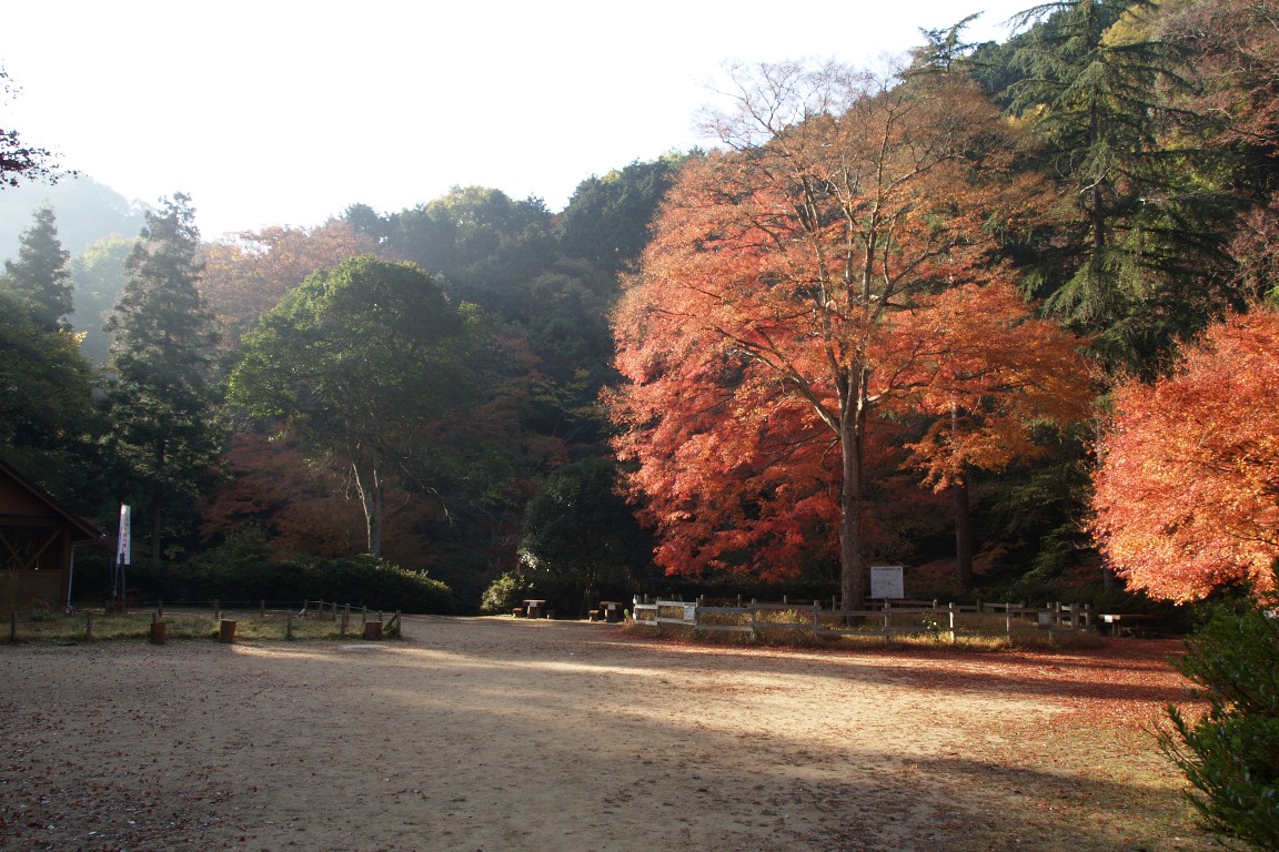 政ノ茶屋園地