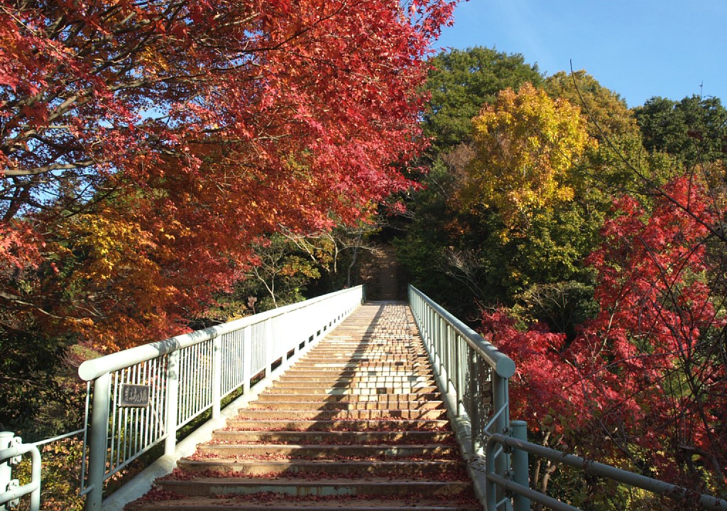 最初の陸橋