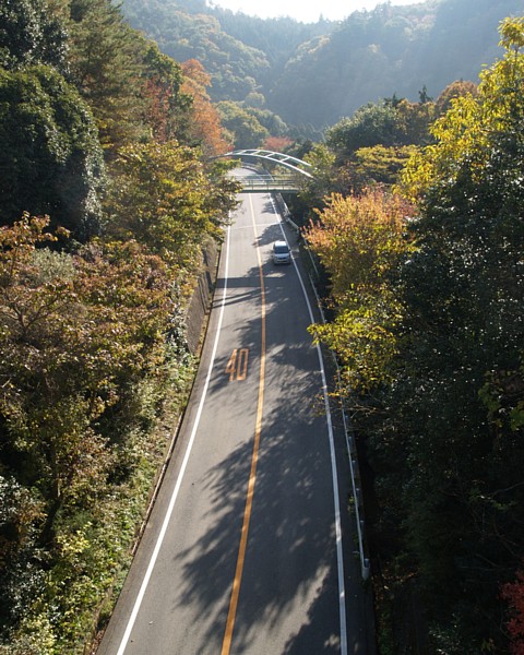 府道4号線を見下ろす