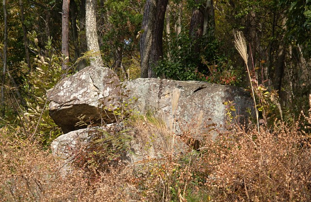 蛙岩