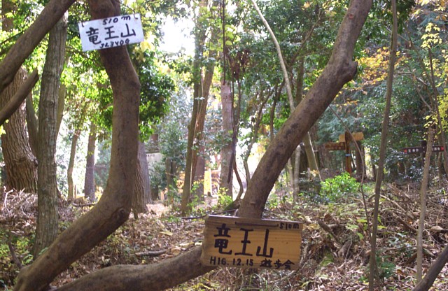 竜王山標示