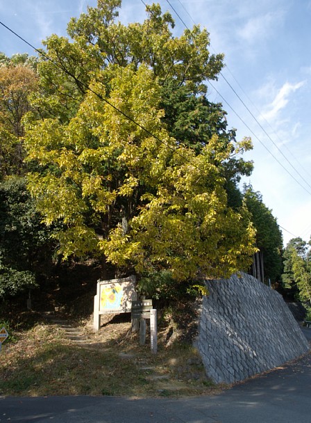 竜王山登山口