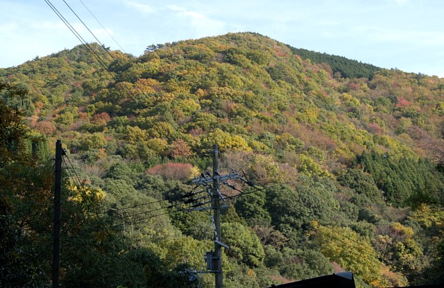 黄葉の山