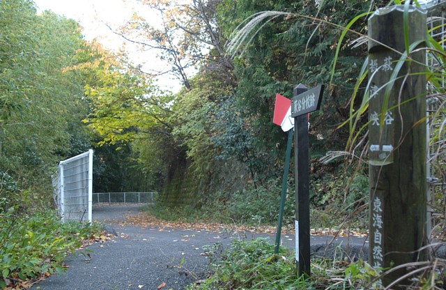 運動公園へ続く車道