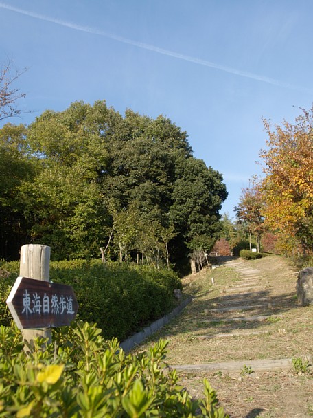 公園の歩道1