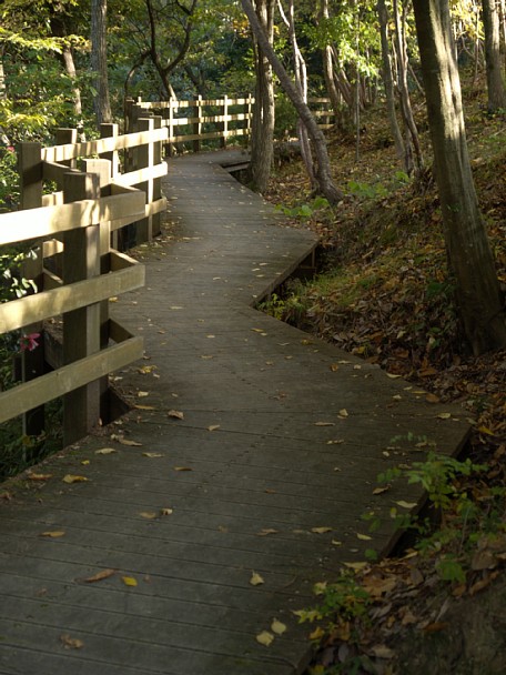 公園の歩道2