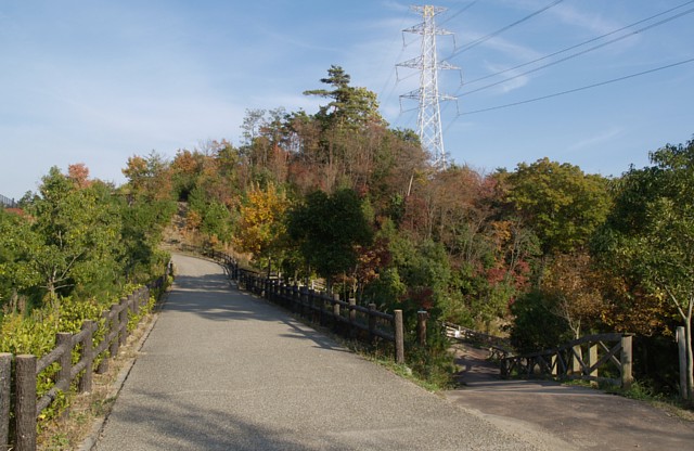 公園の周回道