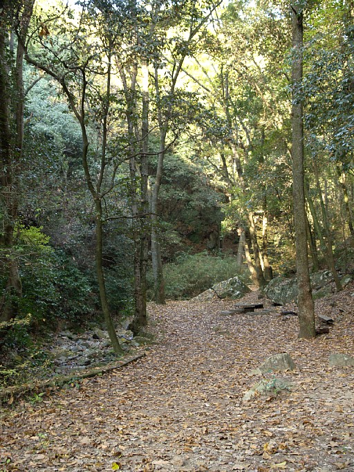 摂津峡公園