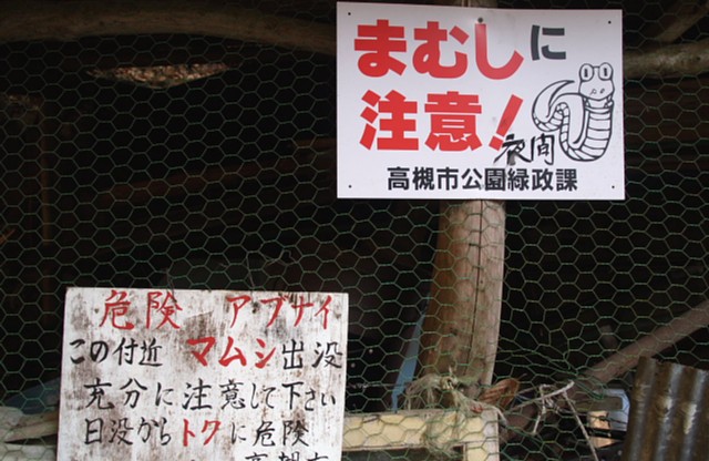 マムシ注意