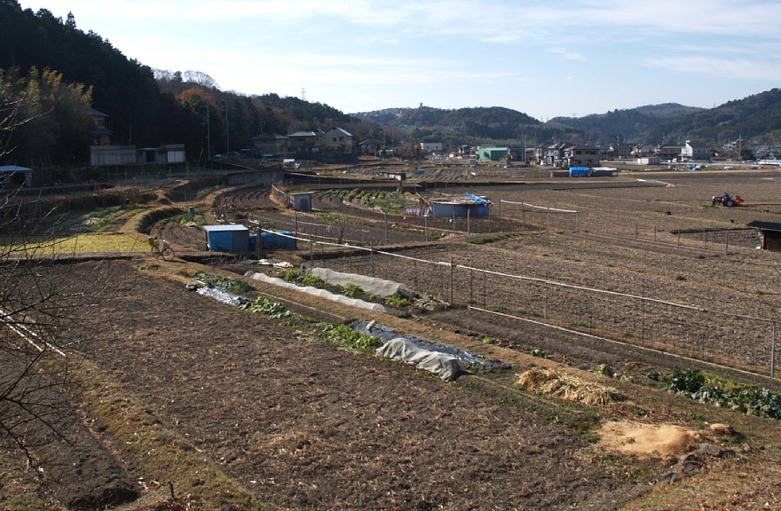 田園風景