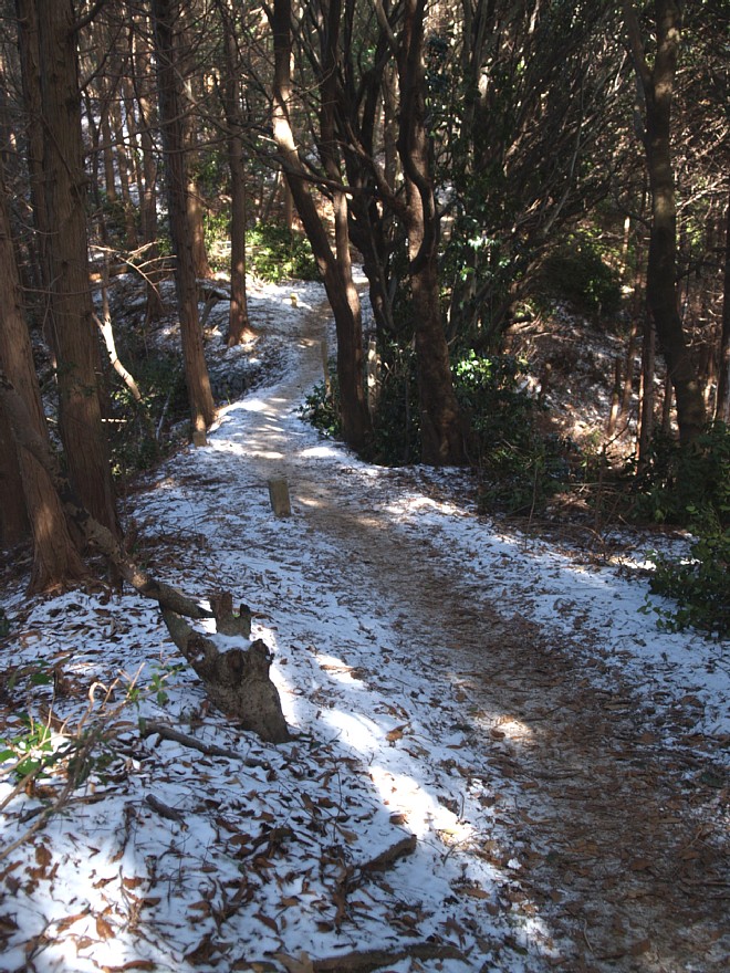 地の出た雪道