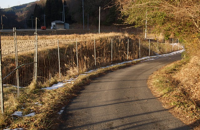 山上の田園