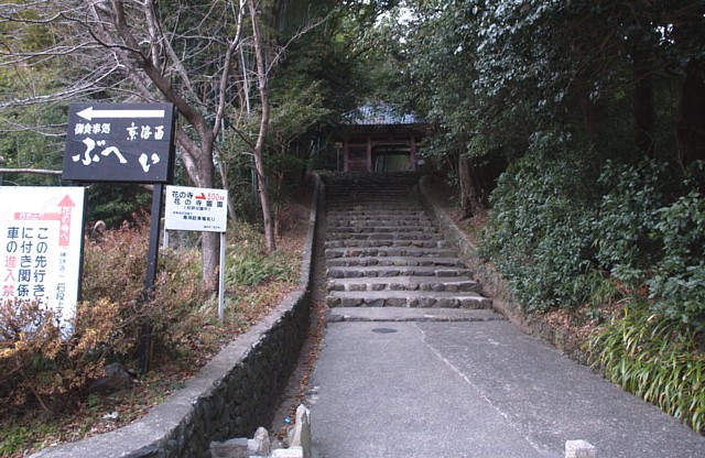 勝持寺参道