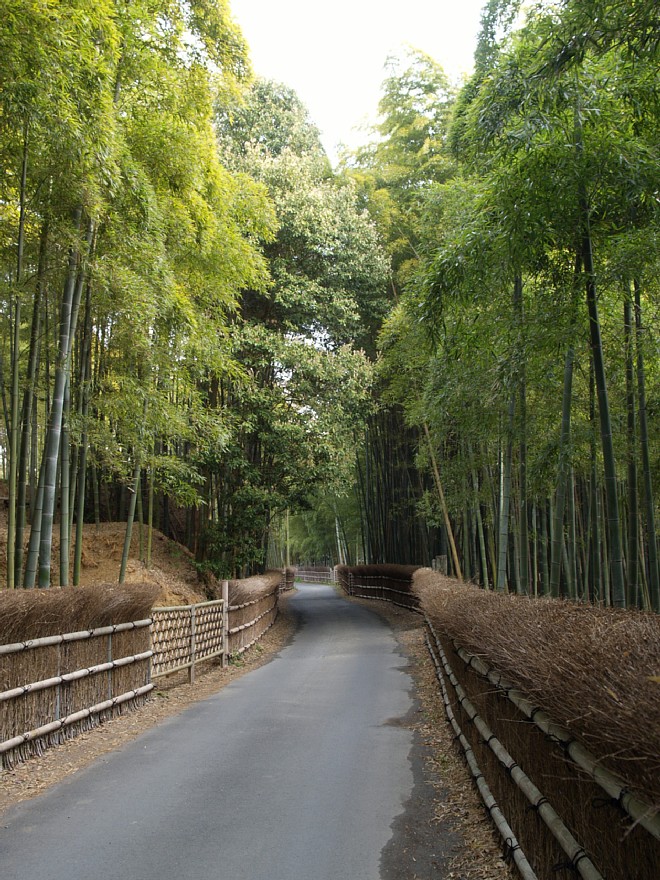 竹の径
