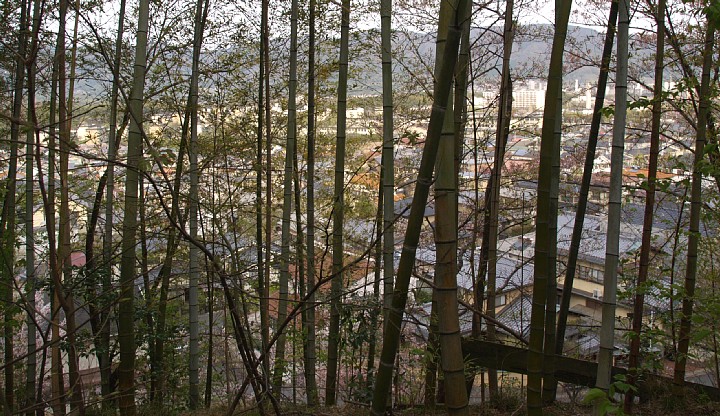 大原野