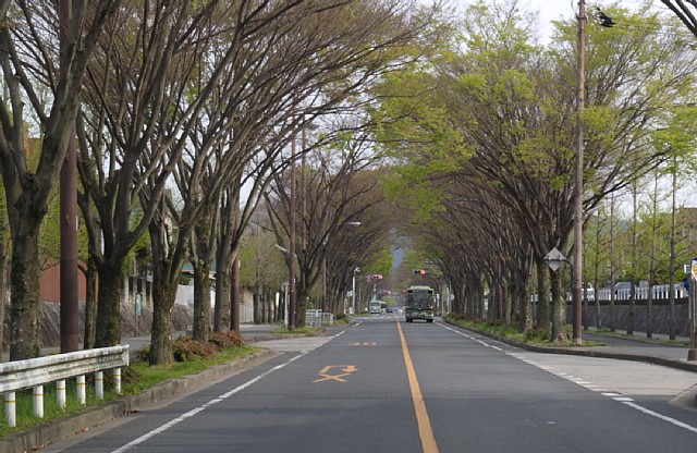 丹波街道