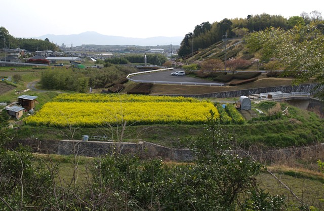 京女大原野グラウンド