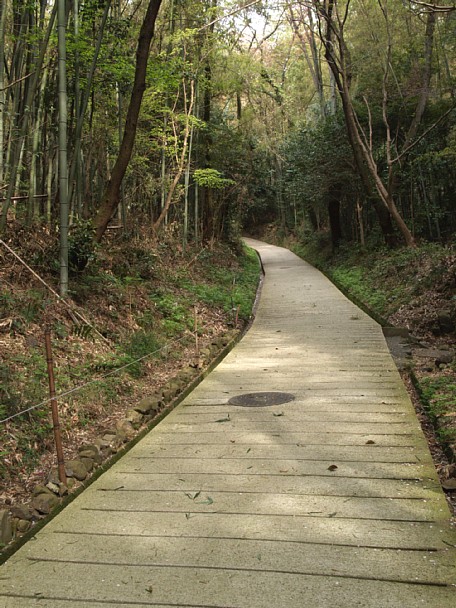 勝持寺参道