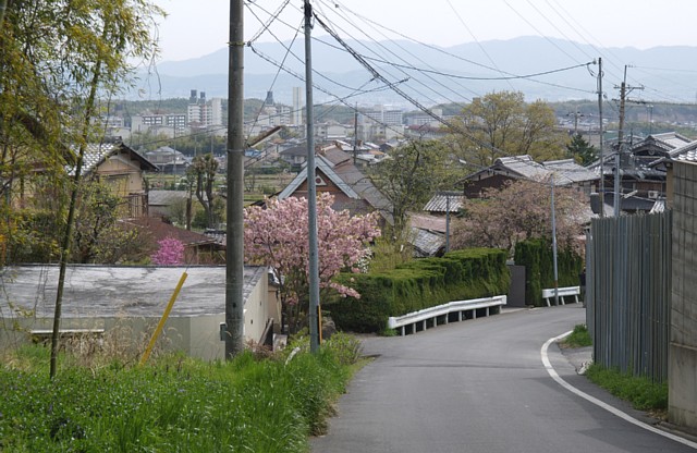 府道141号